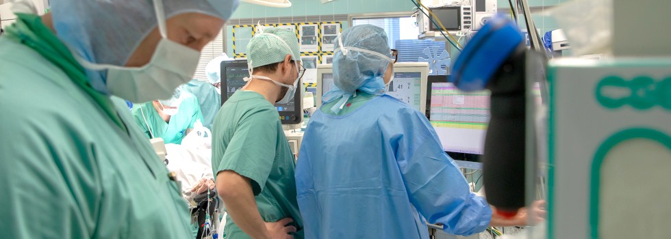 anae_personal1_980x350